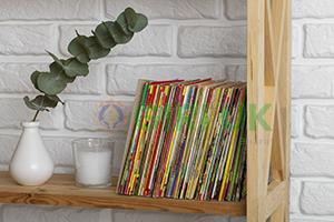 Children’s Book Shelf