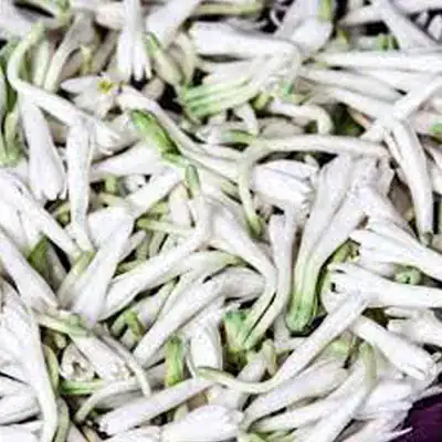Sampangi – 100 GMS