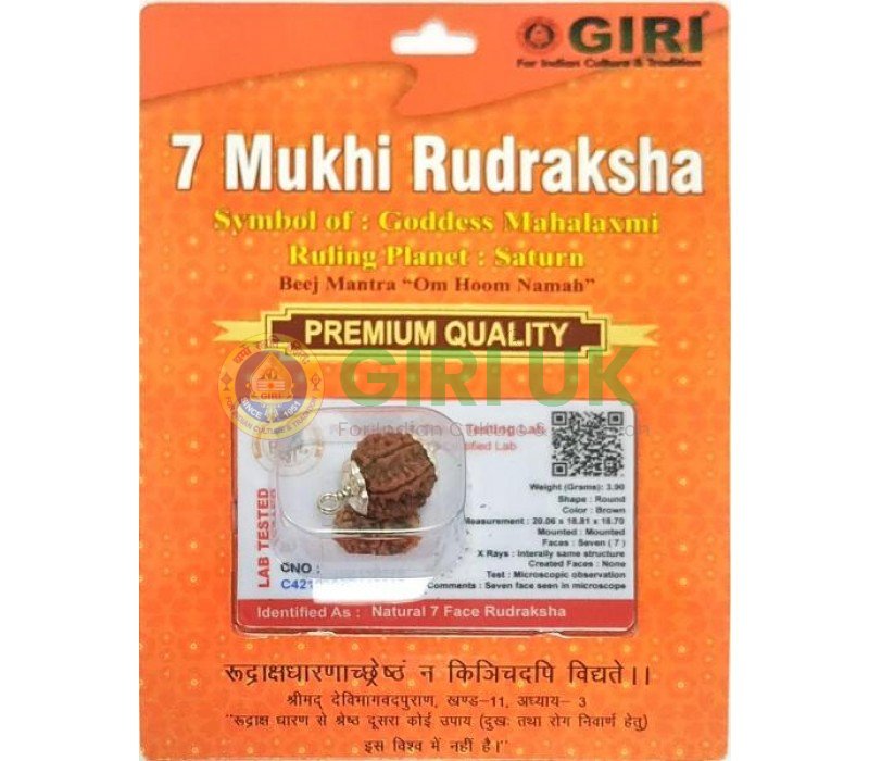 Nepali Rudraksha Bead (7 face)