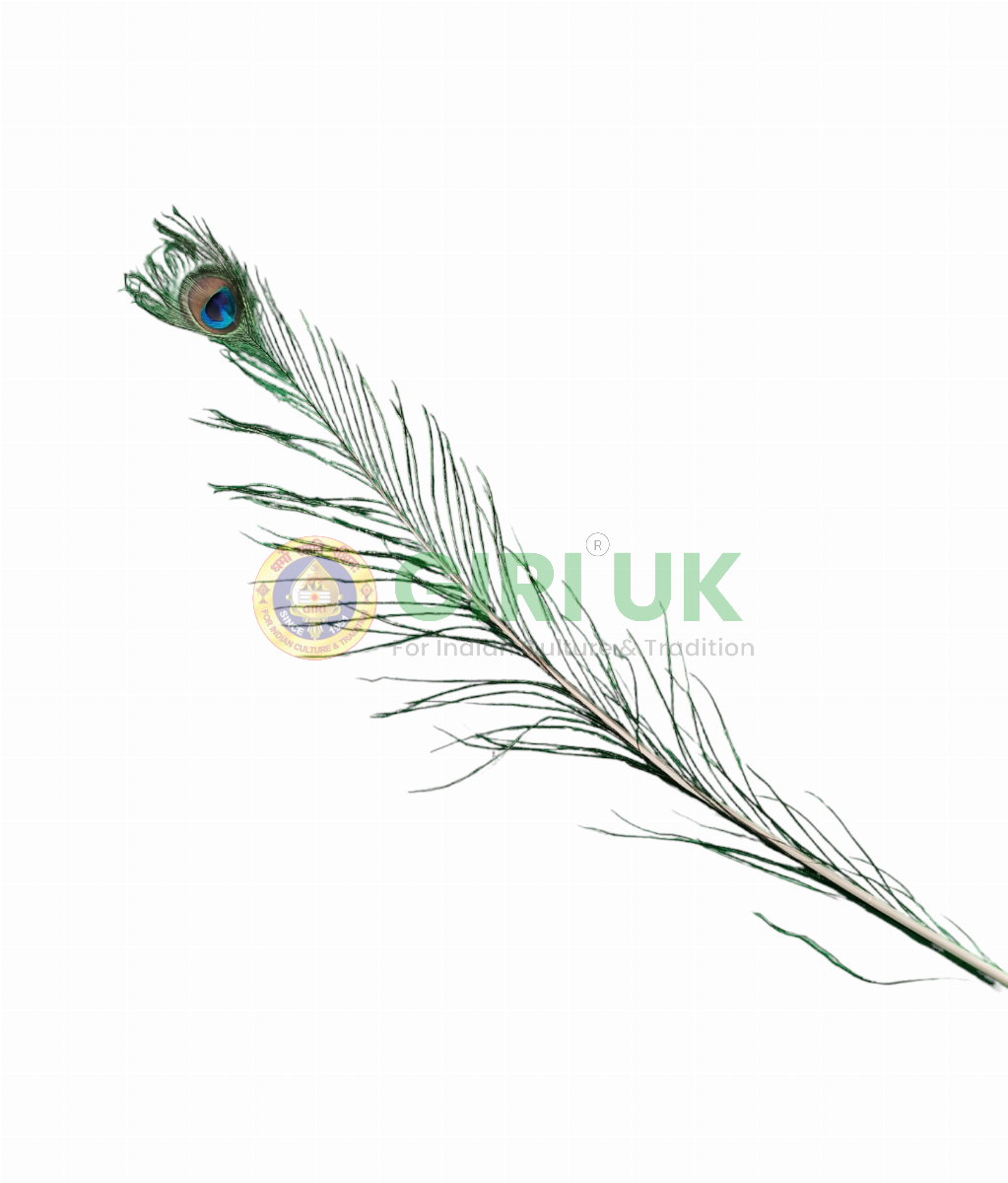 Peacock Feather for Home Decor