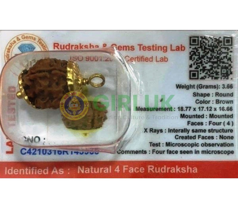 Nepali Rudraksha Bead (4 face)