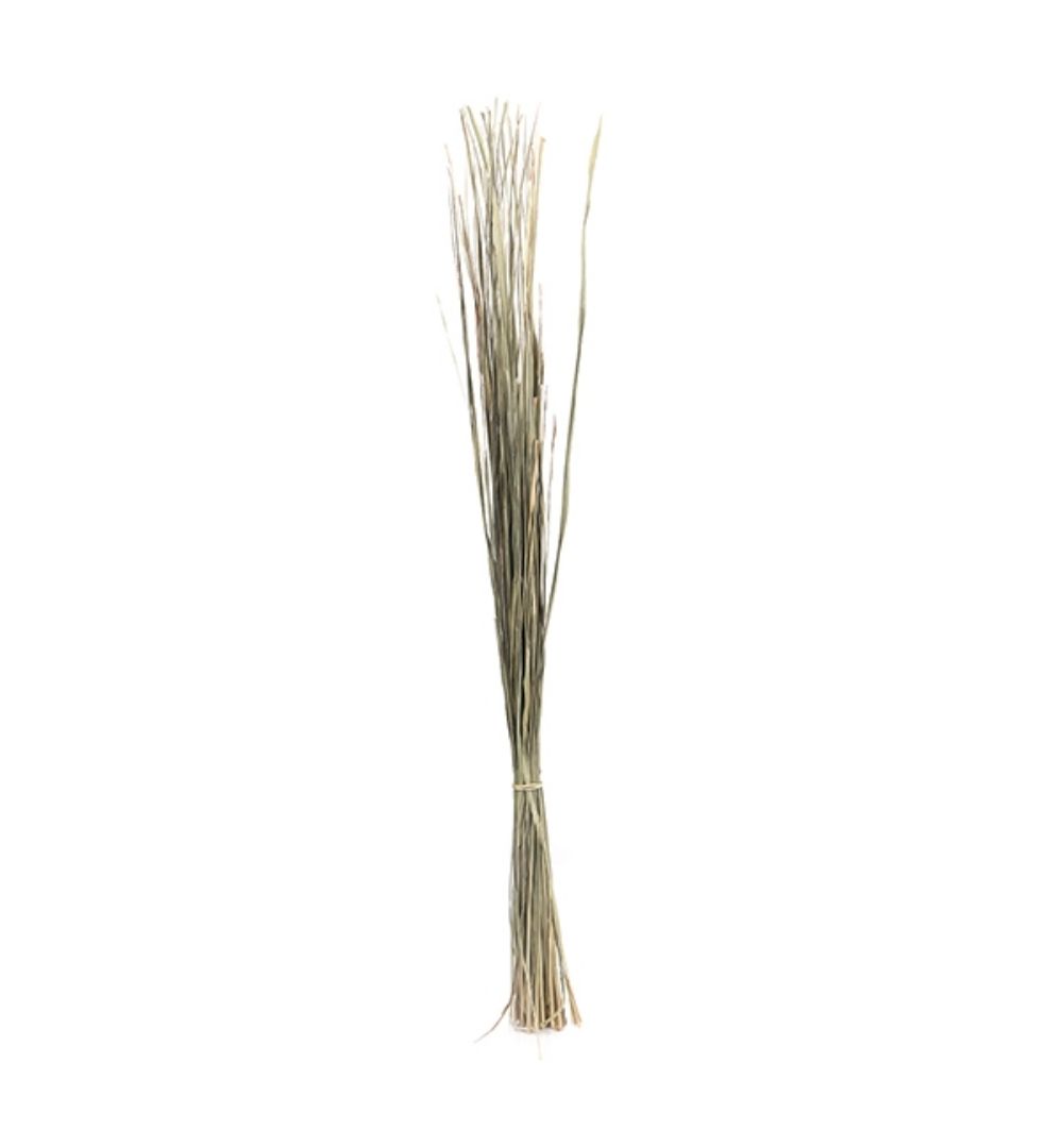 Blade of Darbhai Grass (Nuni Darbhai)