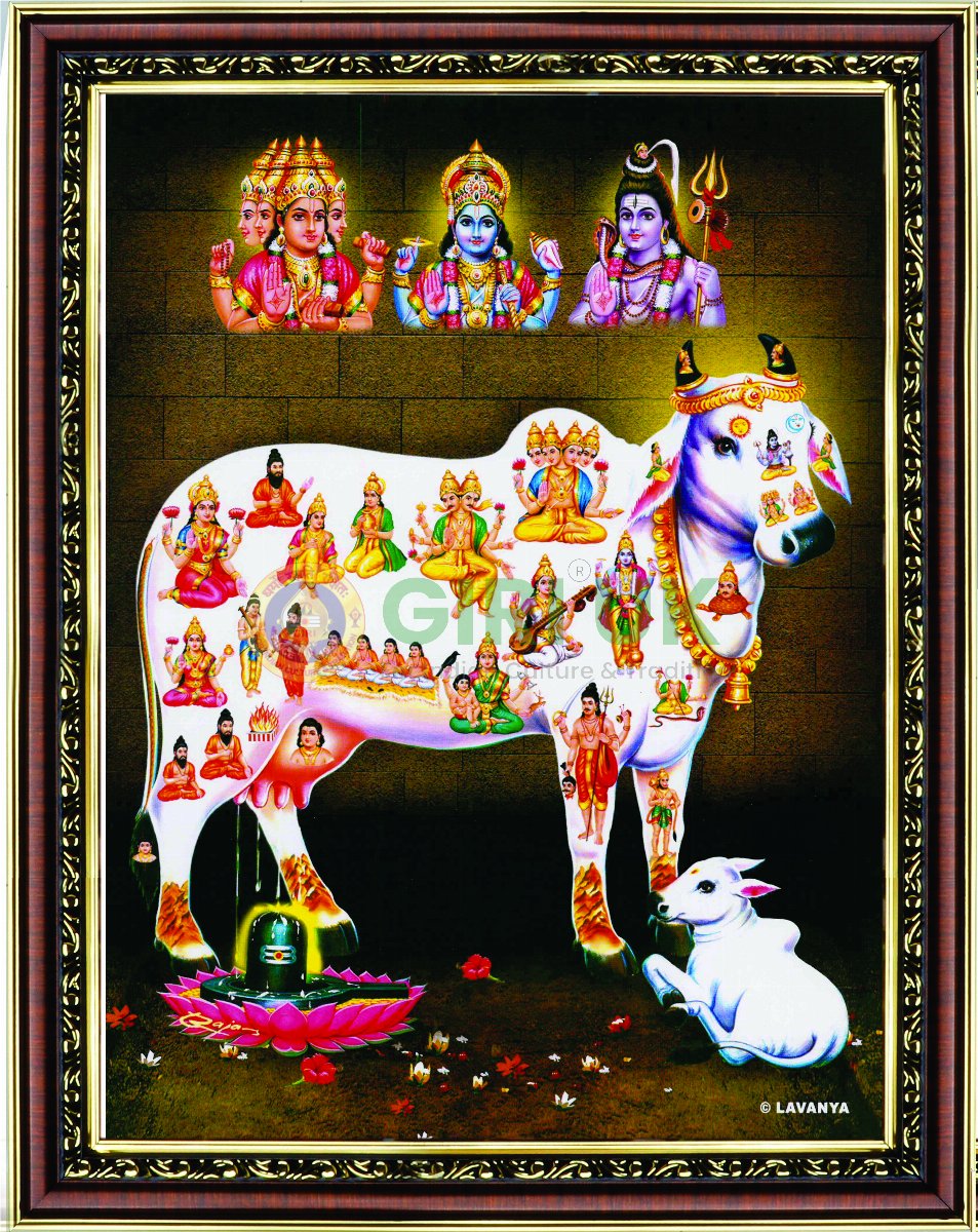 Kamadhenu Picture with wooden frame - 14 x 11 inches