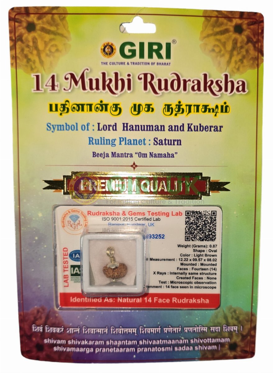 Rudraksha Beads 14 Face Java With Om Pendant-White Cup