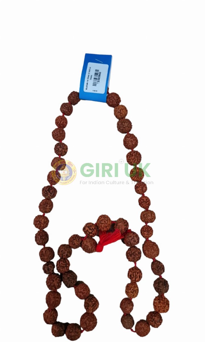 Rudraksha Mala (54 x 12 face beads)