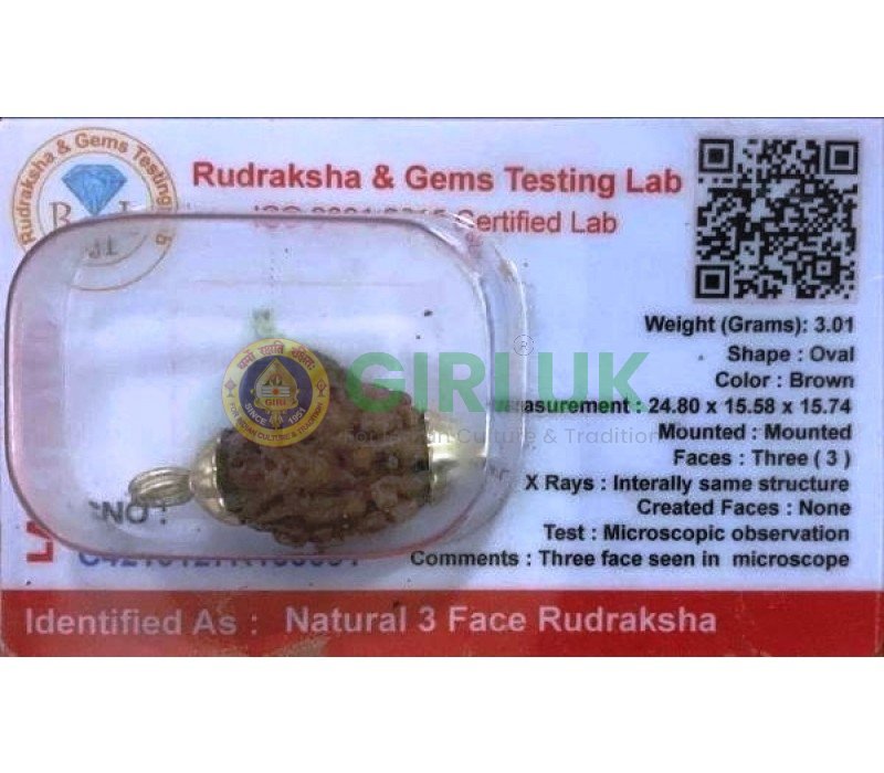 Rudraksha Bead (3 face)