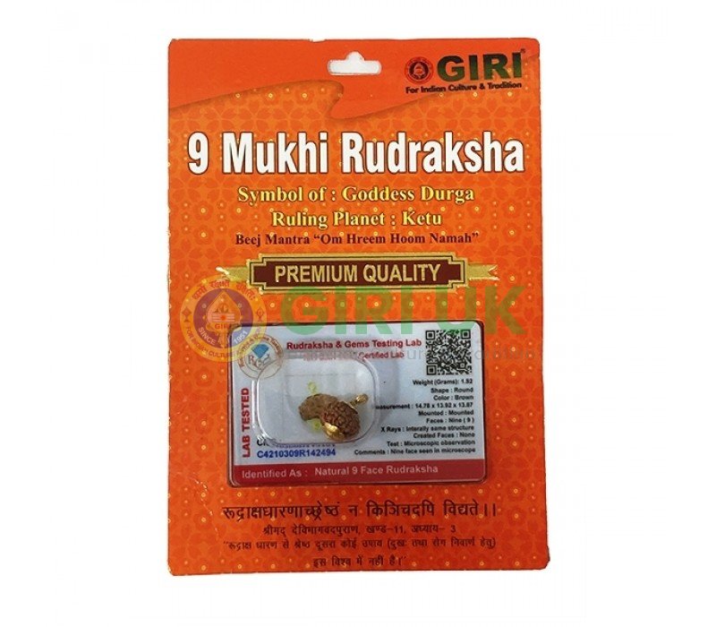 Nepali Rudraksha Bead (9 face)