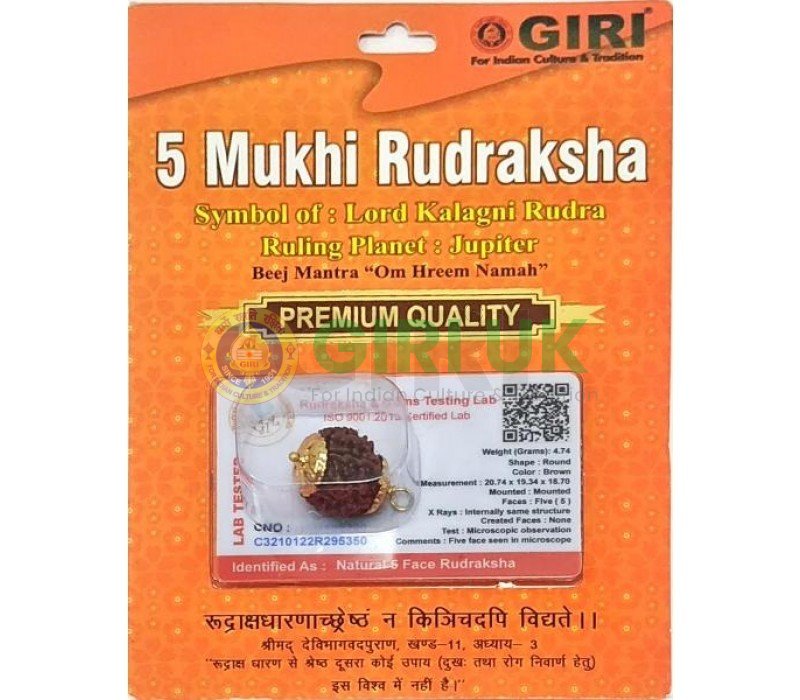 Nepali Rudraksha Bead (5 face)