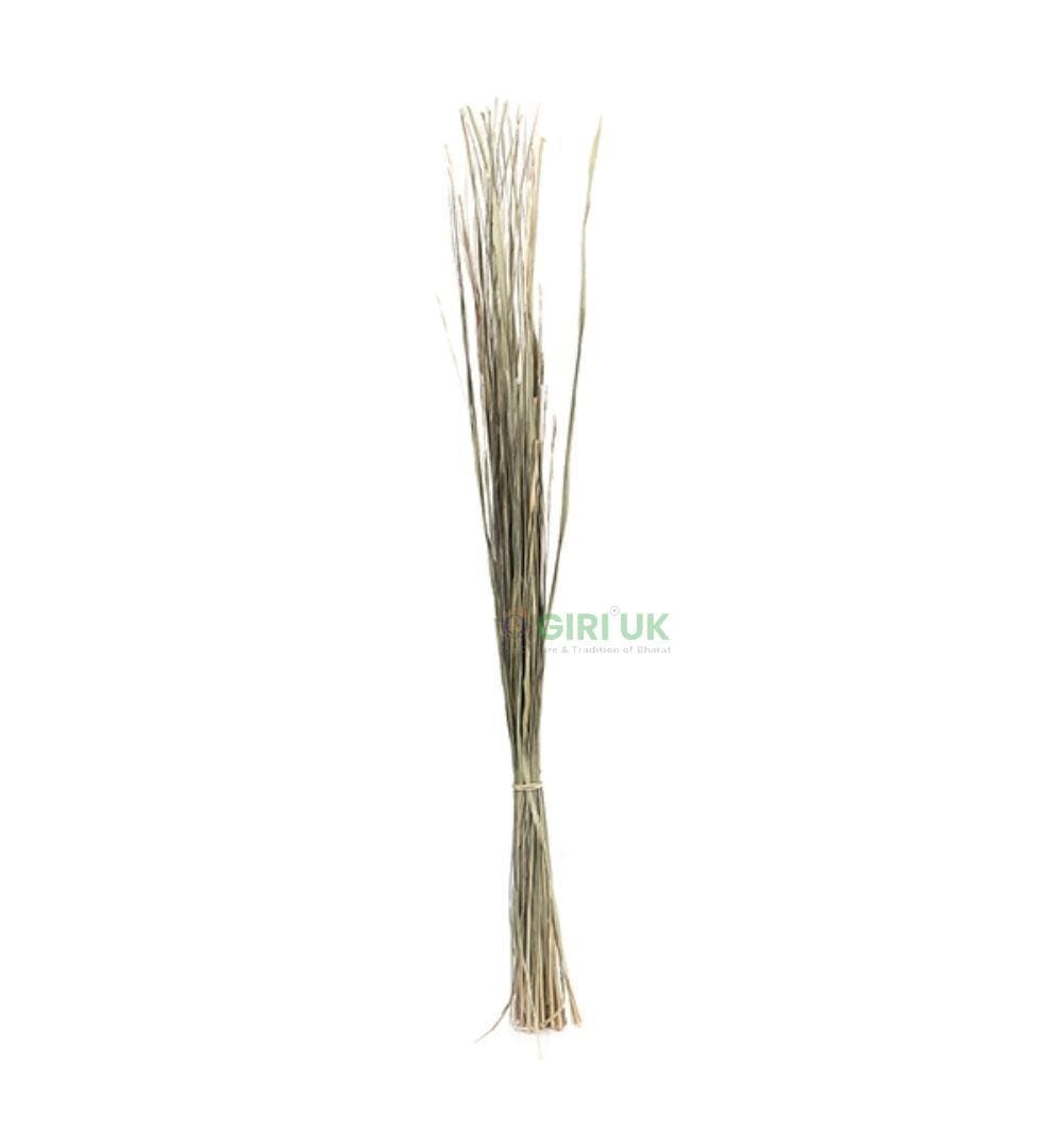 Blade of Darbhai Grass (Nuni Darbhai)