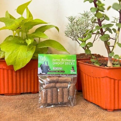 Organic Herbal Dhoop Sticks from Cow Dug