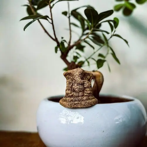 Gomiya Divine Ganesa