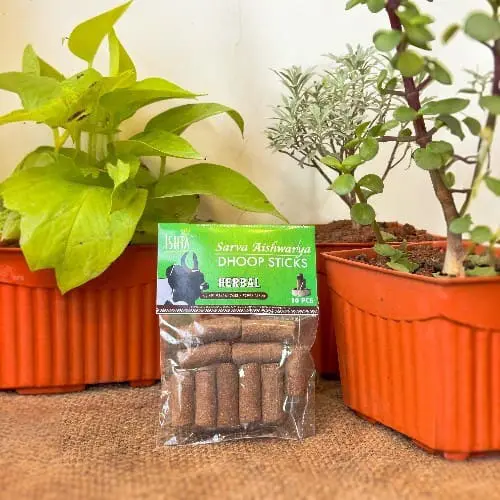 Organic Herbal Dhoop Sticks from Cow Dug