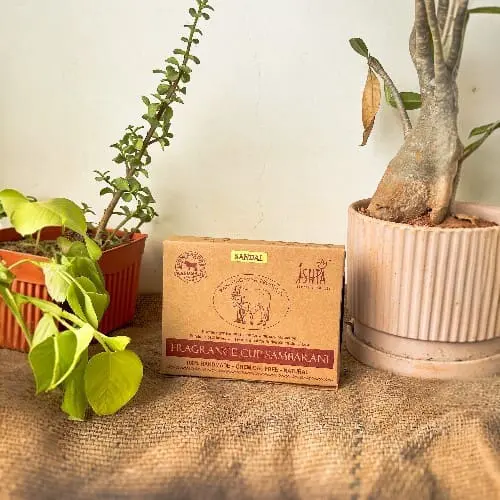 Organic Sandal Cup Sambrani from Cow Dug