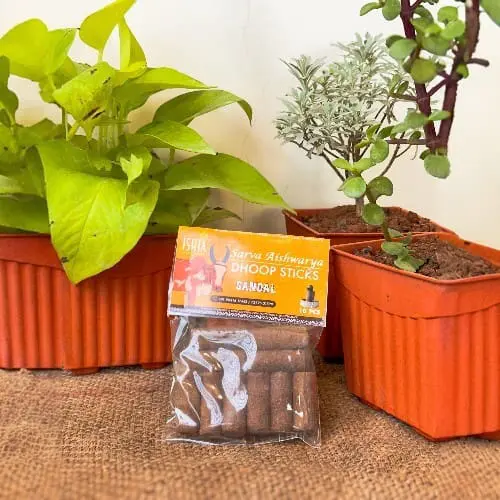 Organic Sandal Dhoop Sticks from Cow Dug