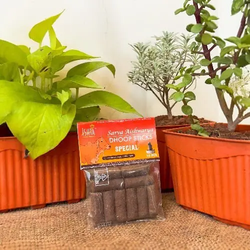 Organic Special Dhoop Sticks from Cow Dug
